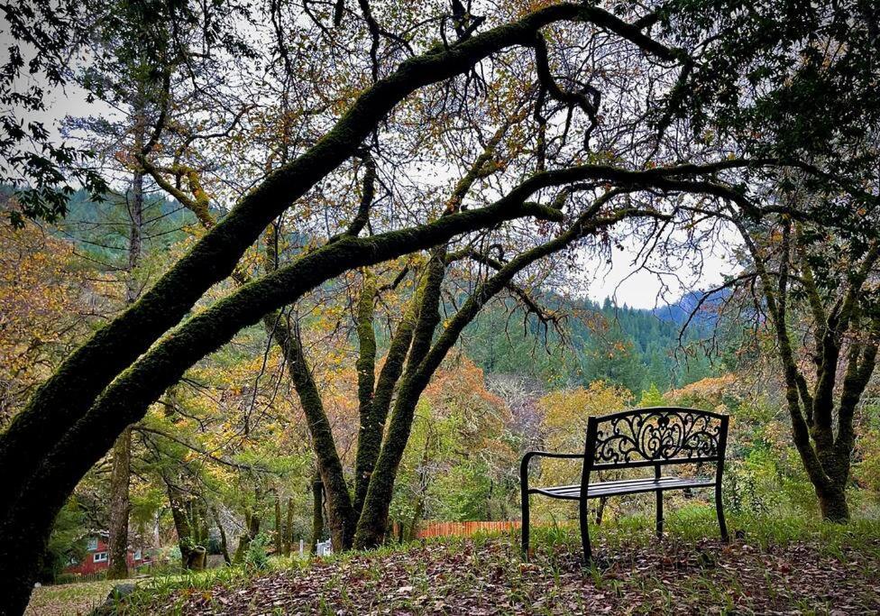 Avenue Of The Giants Pepperwood Place Miranda Exterior photo